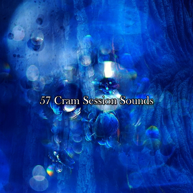 Couverture de 57 Cram Session Sounds