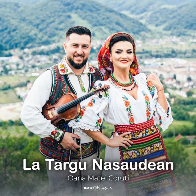 La Targu Nasaudean