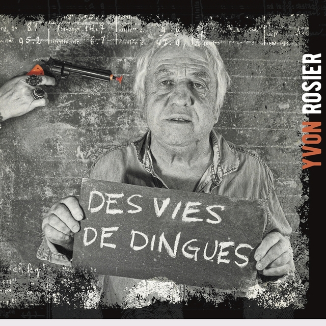 Couverture de Des vies de dingues