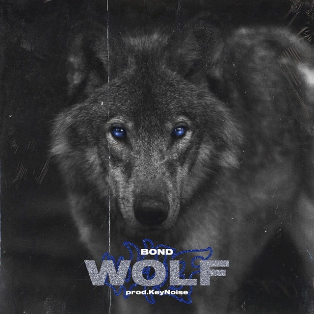 Couverture de Wolf