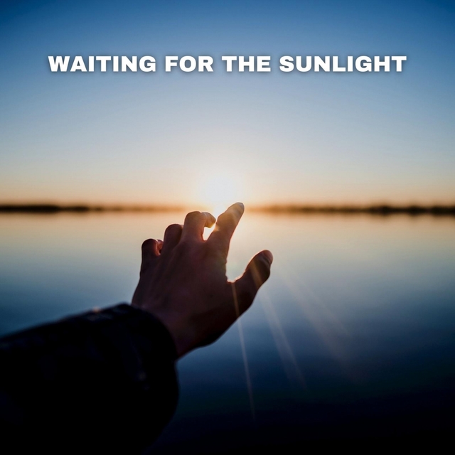 Couverture de Waiting For the Sunlight