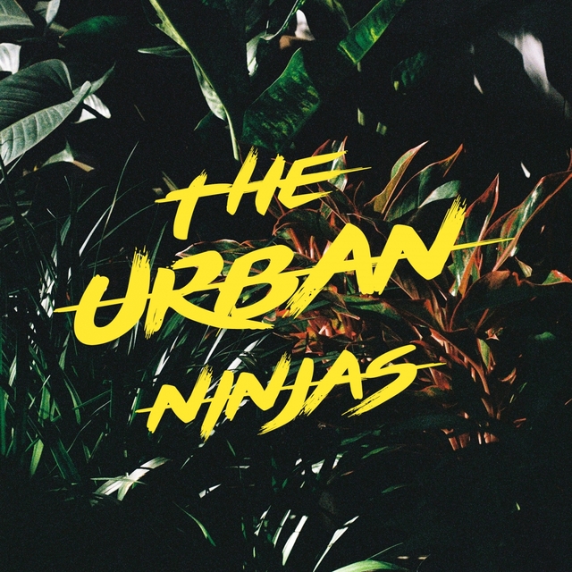 Couverture de The Urban Ninjas