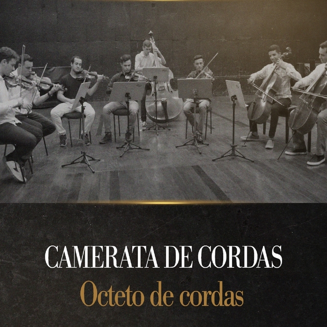 Camerata de Cordas