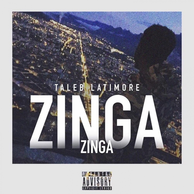 Couverture de Zinga Zinga