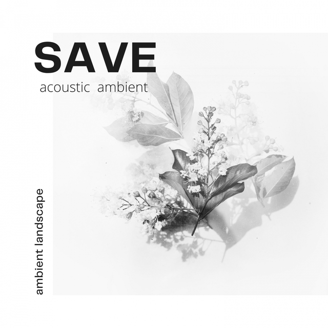 Couverture de Save Acoustic Ambient