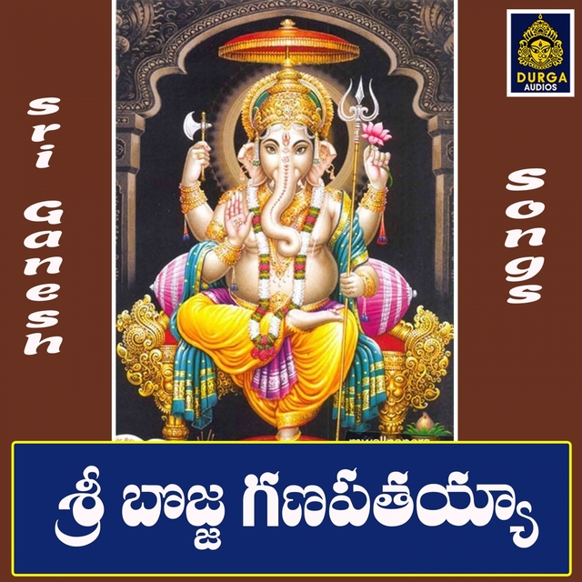 Couverture de Sri Bojja Ganapathayya