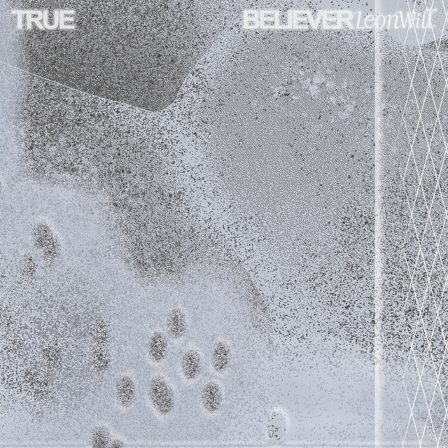 Couverture de True Believer