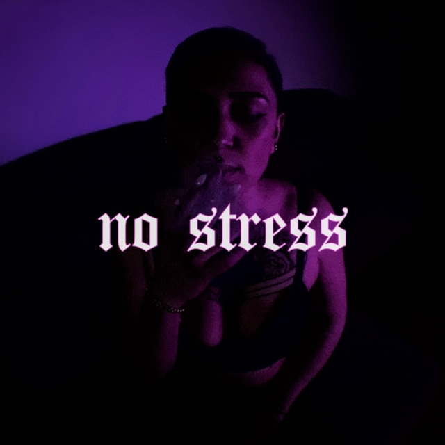 Couverture de No Stress