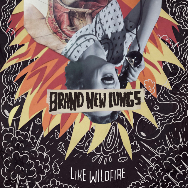 Couverture de Like Wildfire