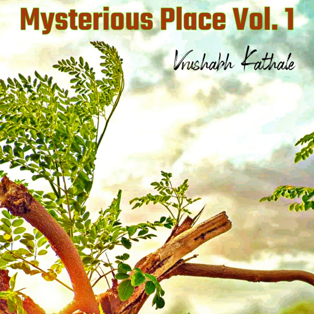 Couverture de Mysterious Place, Vol. 1