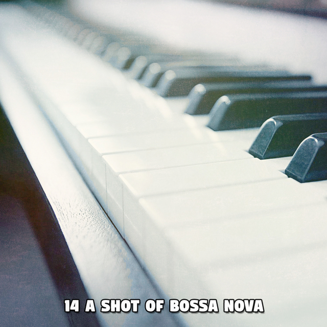 Couverture de 14 A Shot Of Bossa Nova