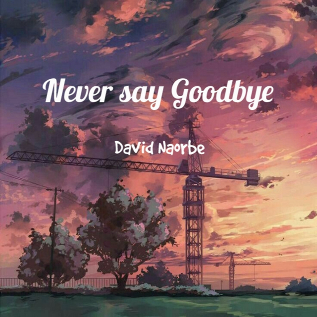 Couverture de Never Say Goodbye