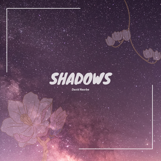 Couverture de Shadows