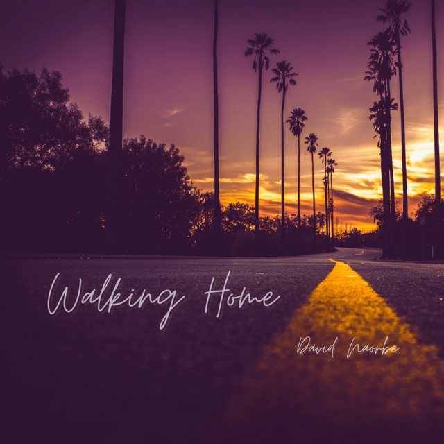 Couverture de Walking Home