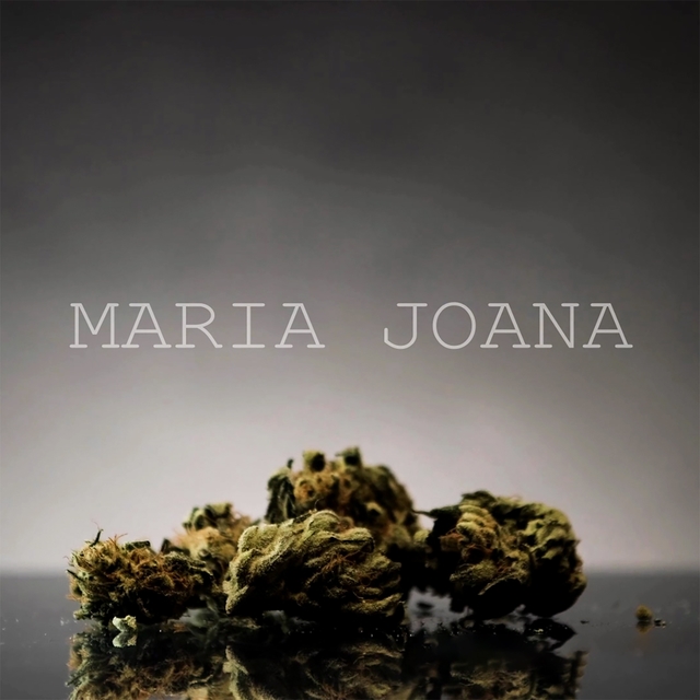 Couverture de Maria Joana