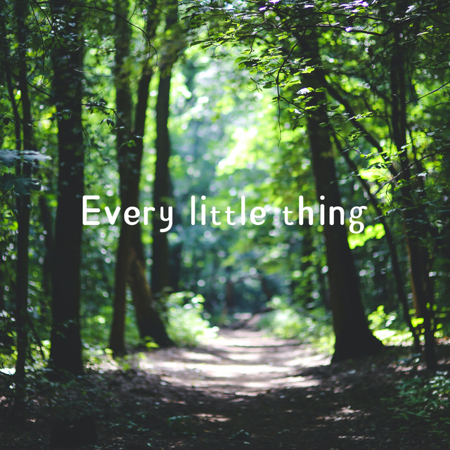 Every little thing