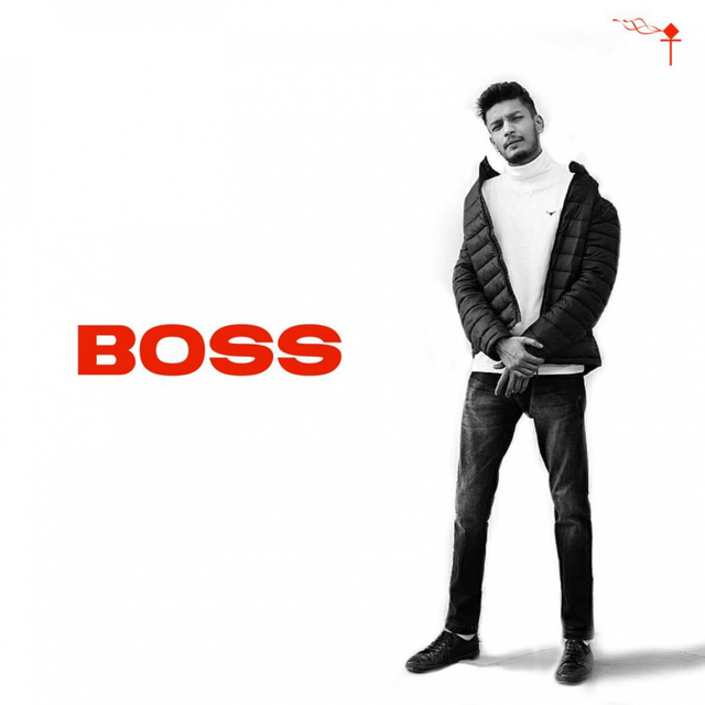 Couverture de Boss