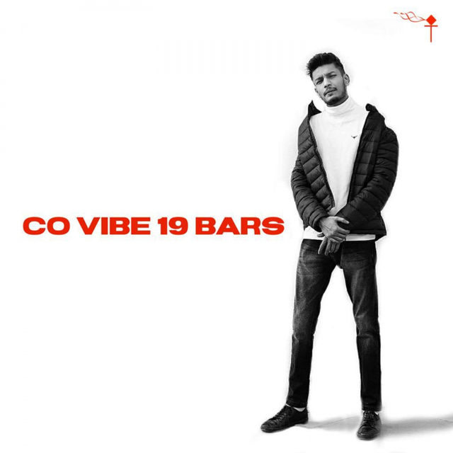 Couverture de Covibe 19 Bars