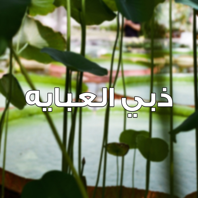 Couverture de ذبي العبايه