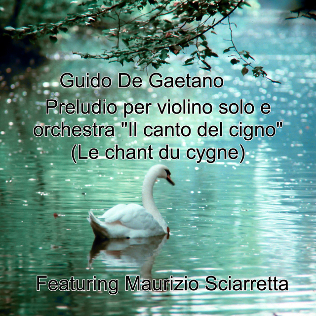 Couverture de Preludio per violino solo