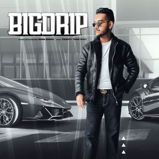 Couverture de Bigdrip