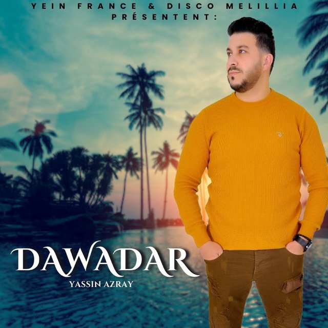 Couverture de Dawadar