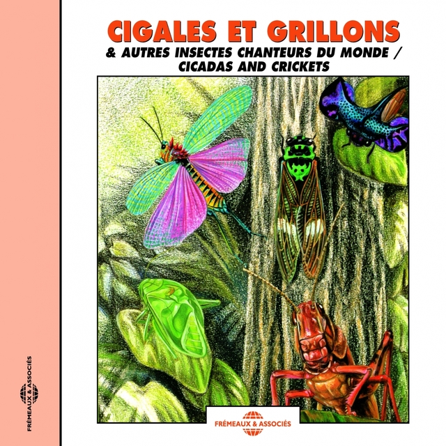 Couverture de Cigales et grillons et autres insectes - Cidadas and Crickets