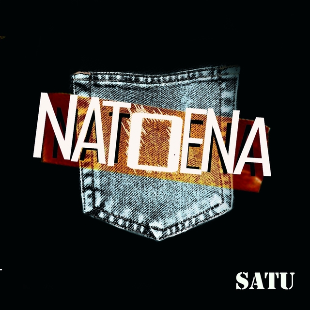 Couverture de Satu