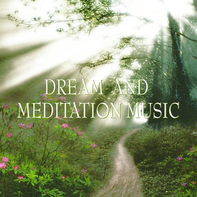 Couverture de Dream and meditation music