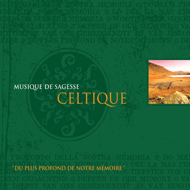 Couverture de Musique de sagesse celtique