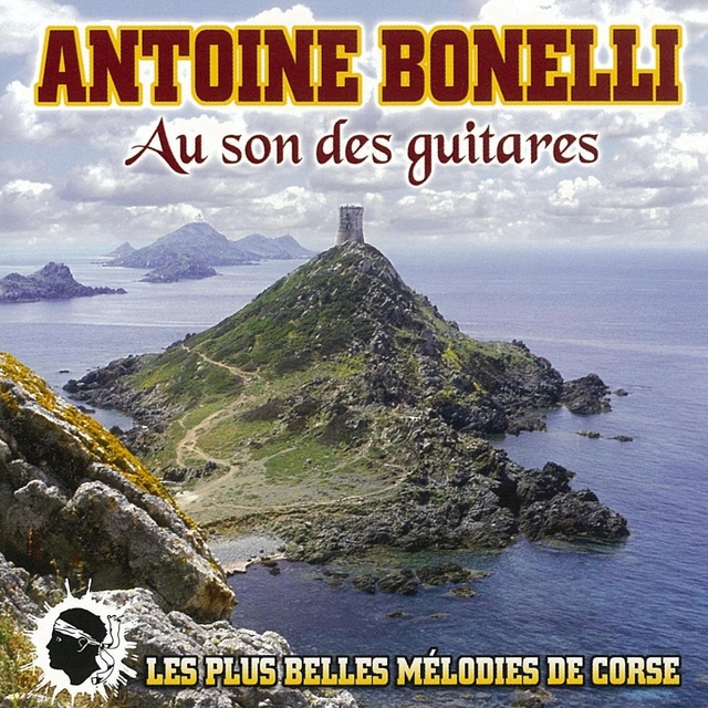 Couverture de Au son des guitares