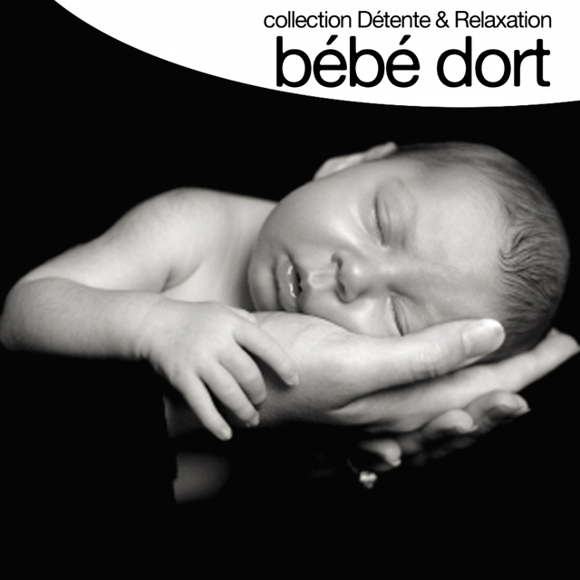 Couverture de Bébé dort