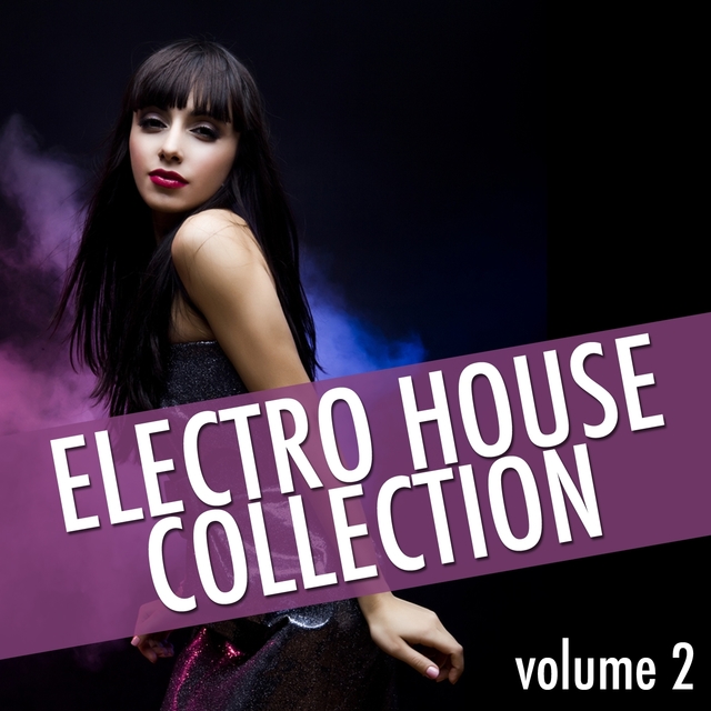 Couverture de Electro House Collection, Vol. 2