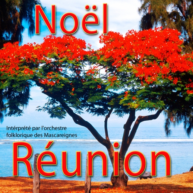 Couverture de Noël à La Réunion