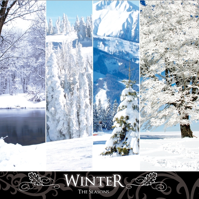 The Seasons: Winter