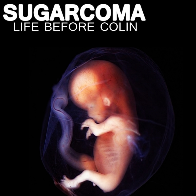 Couverture de Life Before Colin