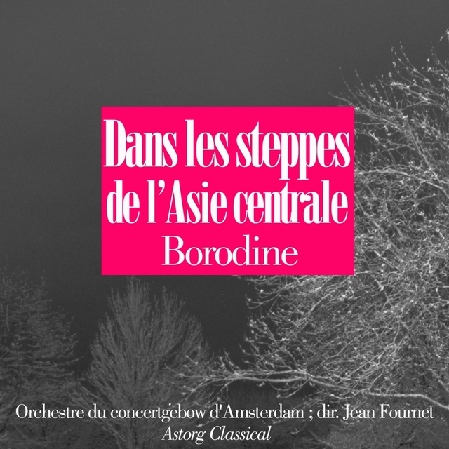 Couverture de Borodine : Dans les steppes de l'Asie centrale