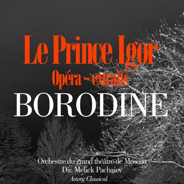 Couverture de Borodine : Le Prince Igor