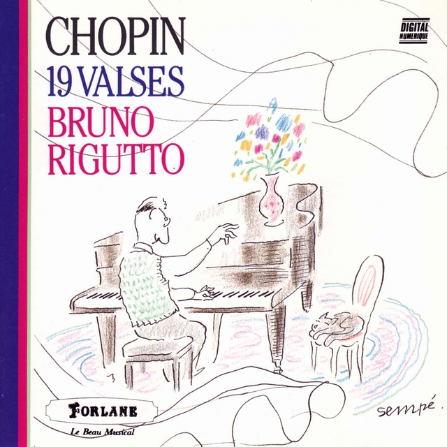 Couverture de Chopin : 19 valses