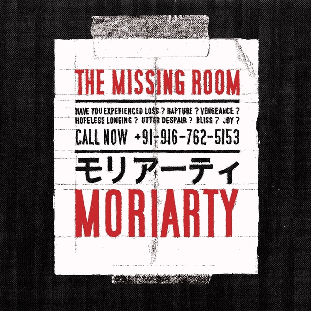 Couverture de The Missing Room