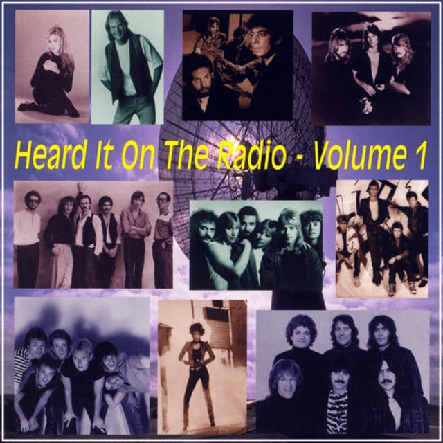 Couverture de Heard It On the Radio - Volume 1