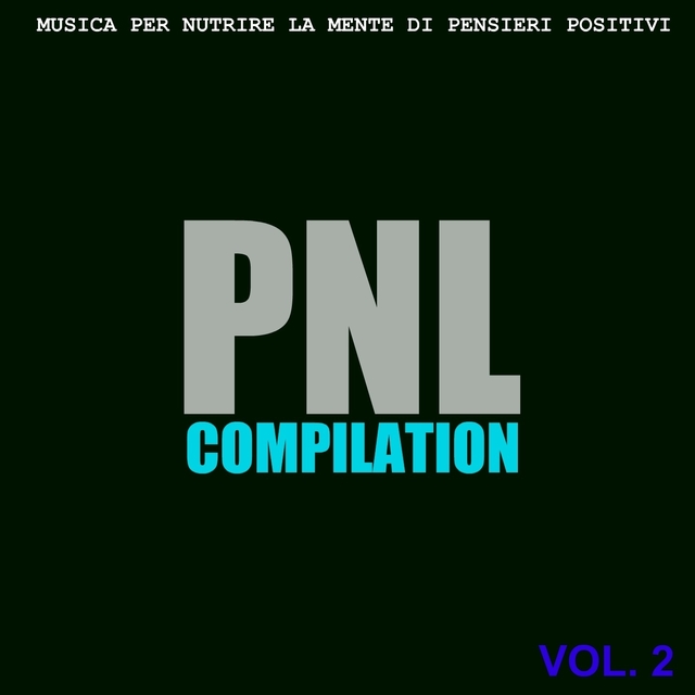 Couverture de PNL Compilation, Vol. 2