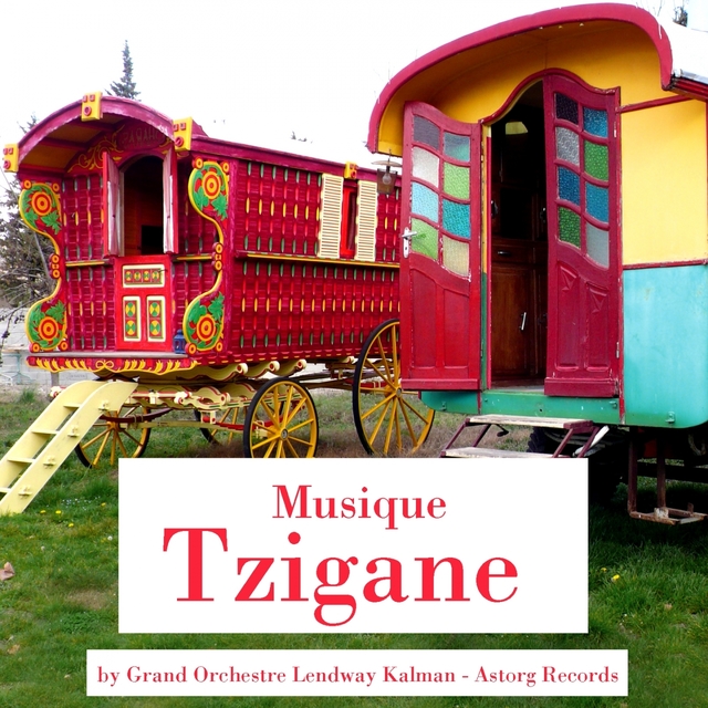 Couverture de Musique tzigane