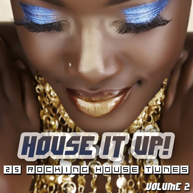 Couverture de House It Up, Vol. 2