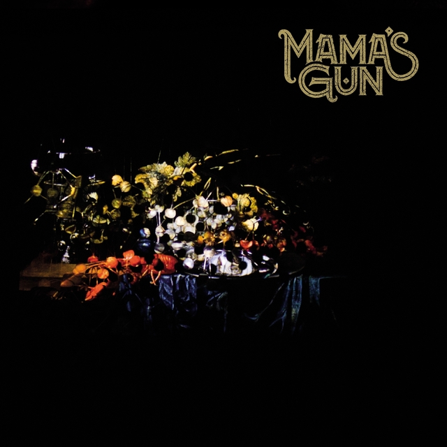 Couverture de Mama's Gun