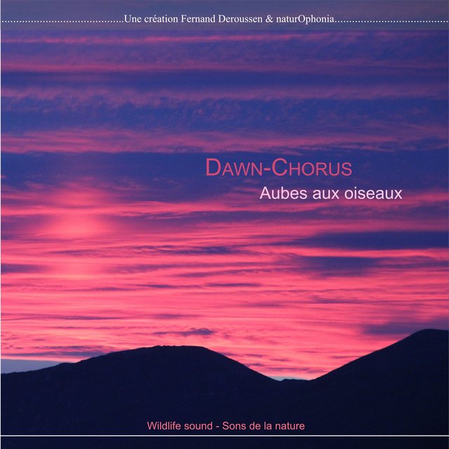 Naturophonia: Dawn-Chorus, aubes aux oiseaux