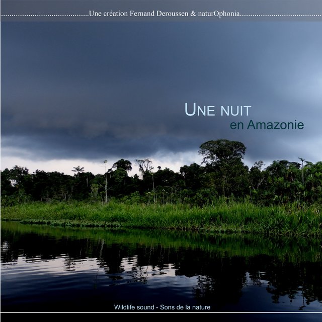 Naturophonia: Une nuit en Amazonie