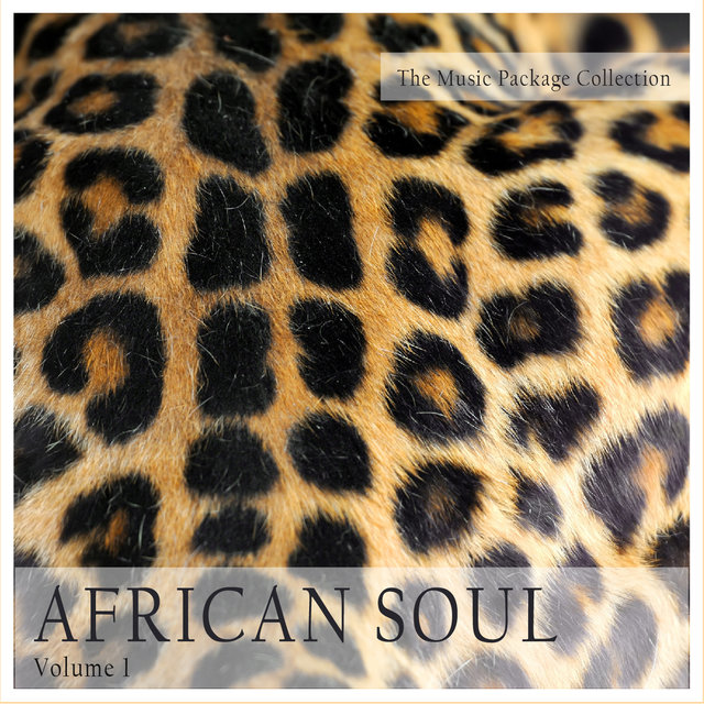 Couverture de The Music Package Collection: African Soul, Vol. 1