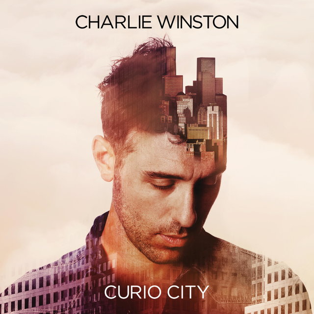 Couverture de Curio City