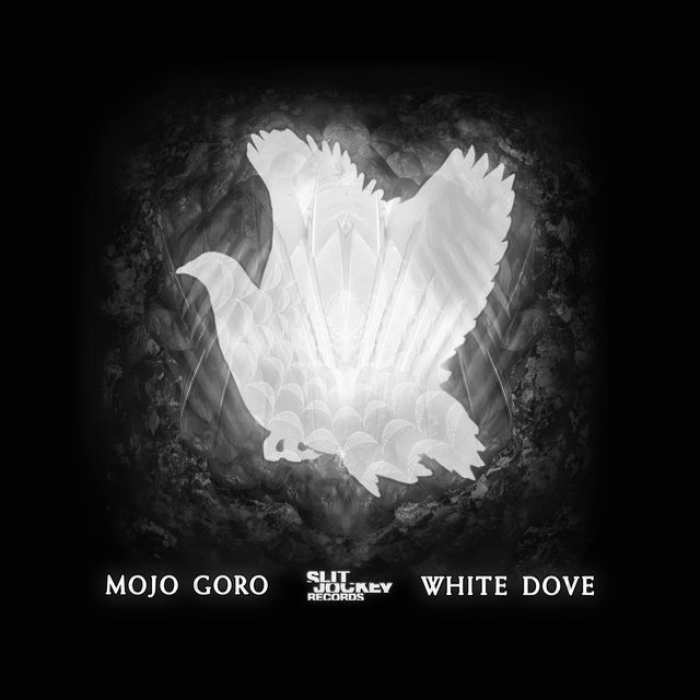 Couverture de White Dove